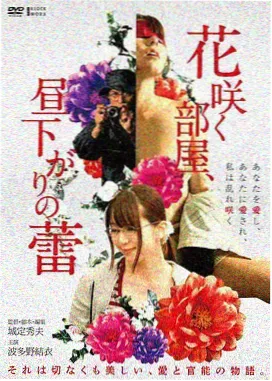 魔卡少女樱被封印的卡牌剧场版海报